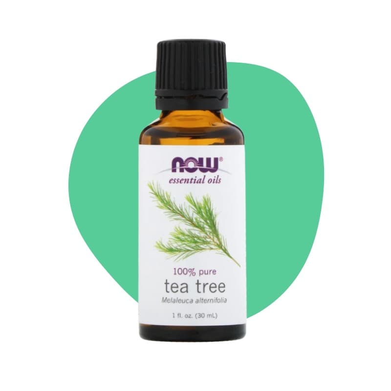 Organic Tea Tree Oil